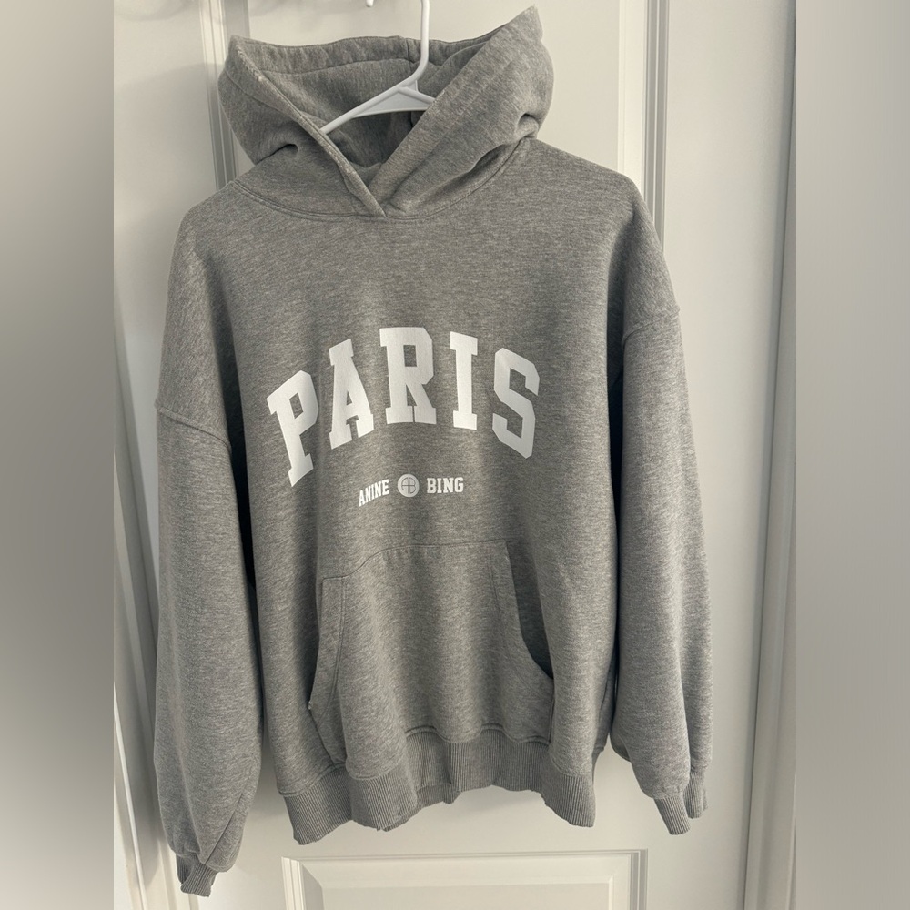 Anine Bing sweatshirt size small! Paid $200, asking $50.